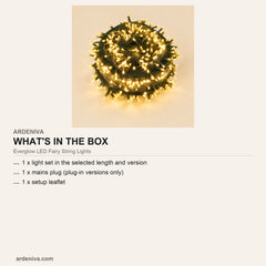 Everglow LED Fairy String Lights — what's in the box