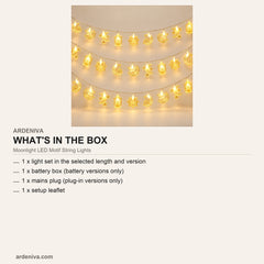 Moonlight LED Motif String Lights — what's in the box