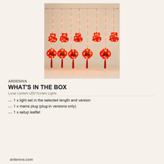 Lunar Lantern LED Curtain Lights — what's in the box