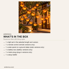 Persimmon Wish LED String Lights — what's in the box