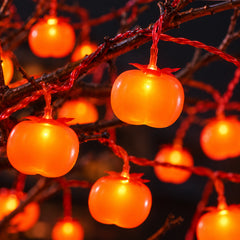 Solar LED Persimmon Lantern Lights, 10 m — detail close-up