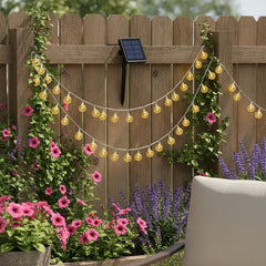 Celeste solar globe string lights in daytime garden