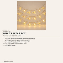 Reindeer Fairy LED Motif Lights — what's in the box