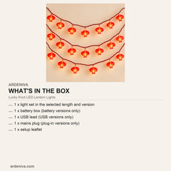 Lucky Knot LED Lantern Lights — what's in the box
