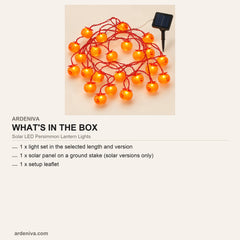 Solar LED Persimmon Lantern Lights, 10 m — what's in the box