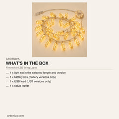 Firecracker LED String Lights — what's in the box