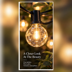 Close-up of Celeste Solar clear globe bulb with warm decorative glow