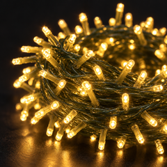 Everglow LED Fairy String Lights — detail close-up